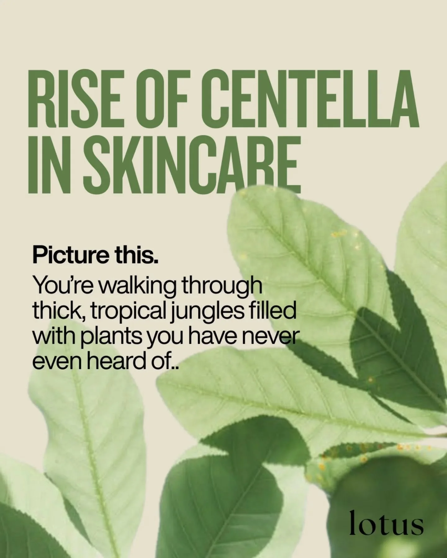 Our ancestors were onto something ✨

Centella asiatica has been used across Southeast Asia for centuries to heal wounds, support digestion, and strengthen the body. Long before it had nearly 200,000 glowing reviews on Google with @skin1004official's 