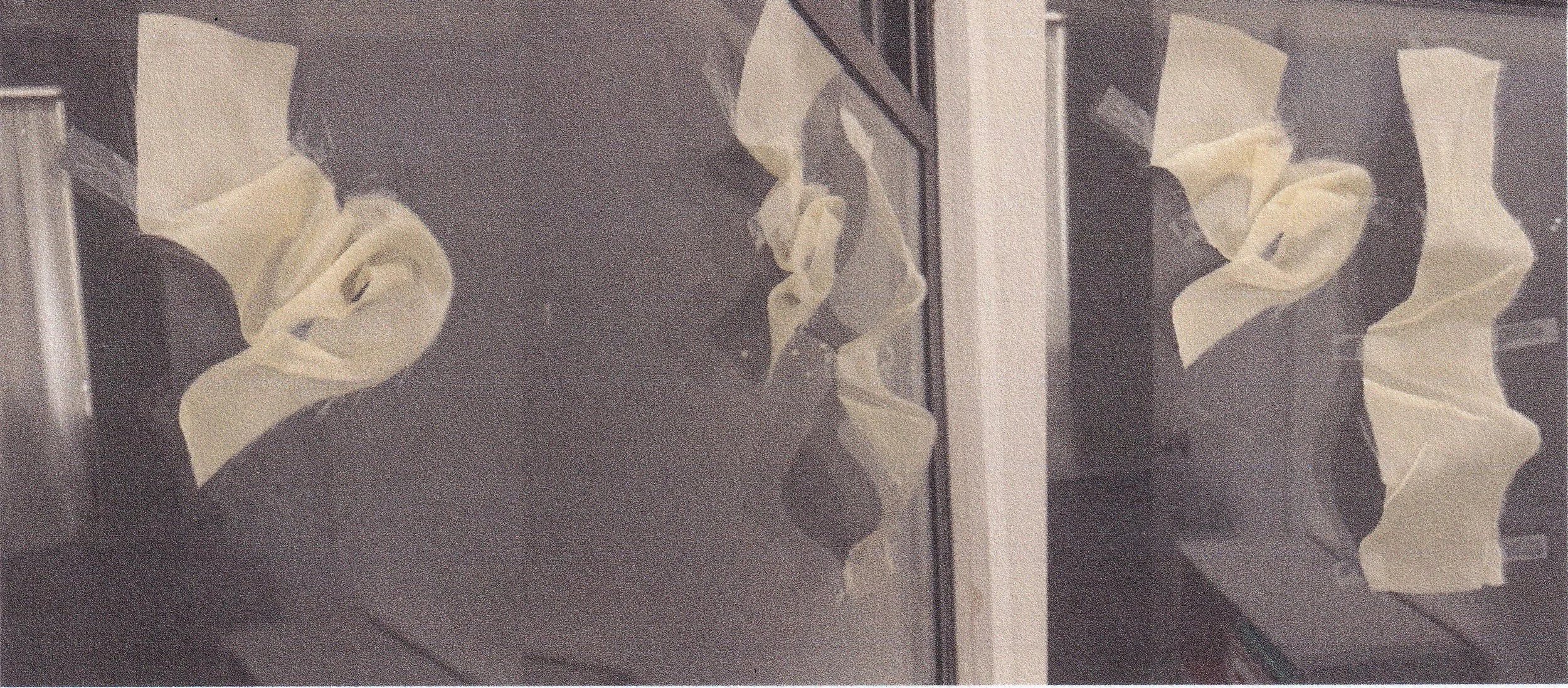 the glass is
the body
the reflection is
the soul
two bodies
become one