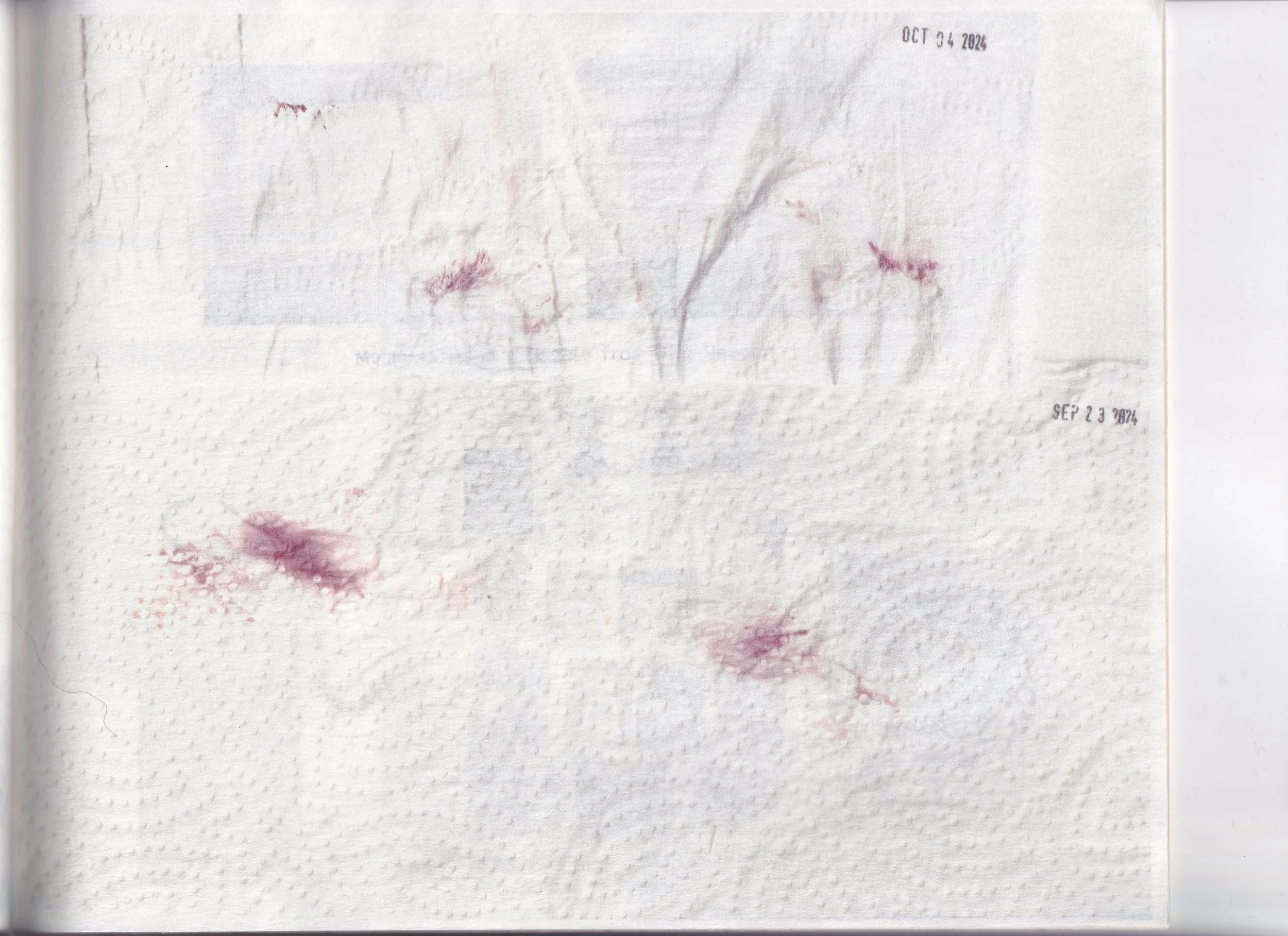 zine containing research material I explored during the fall semester