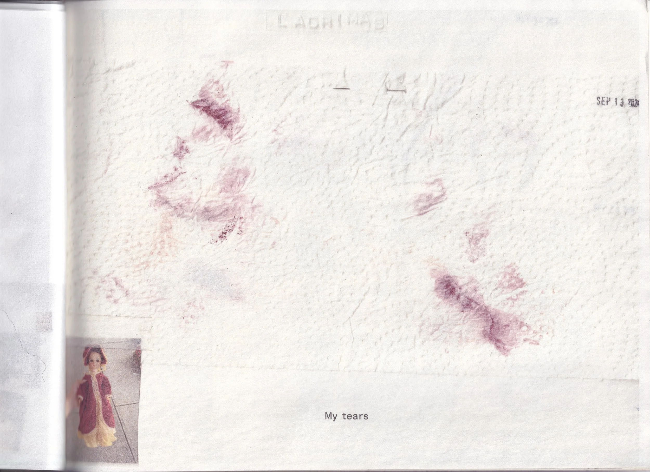 zine containing research material I explored during the fall semester