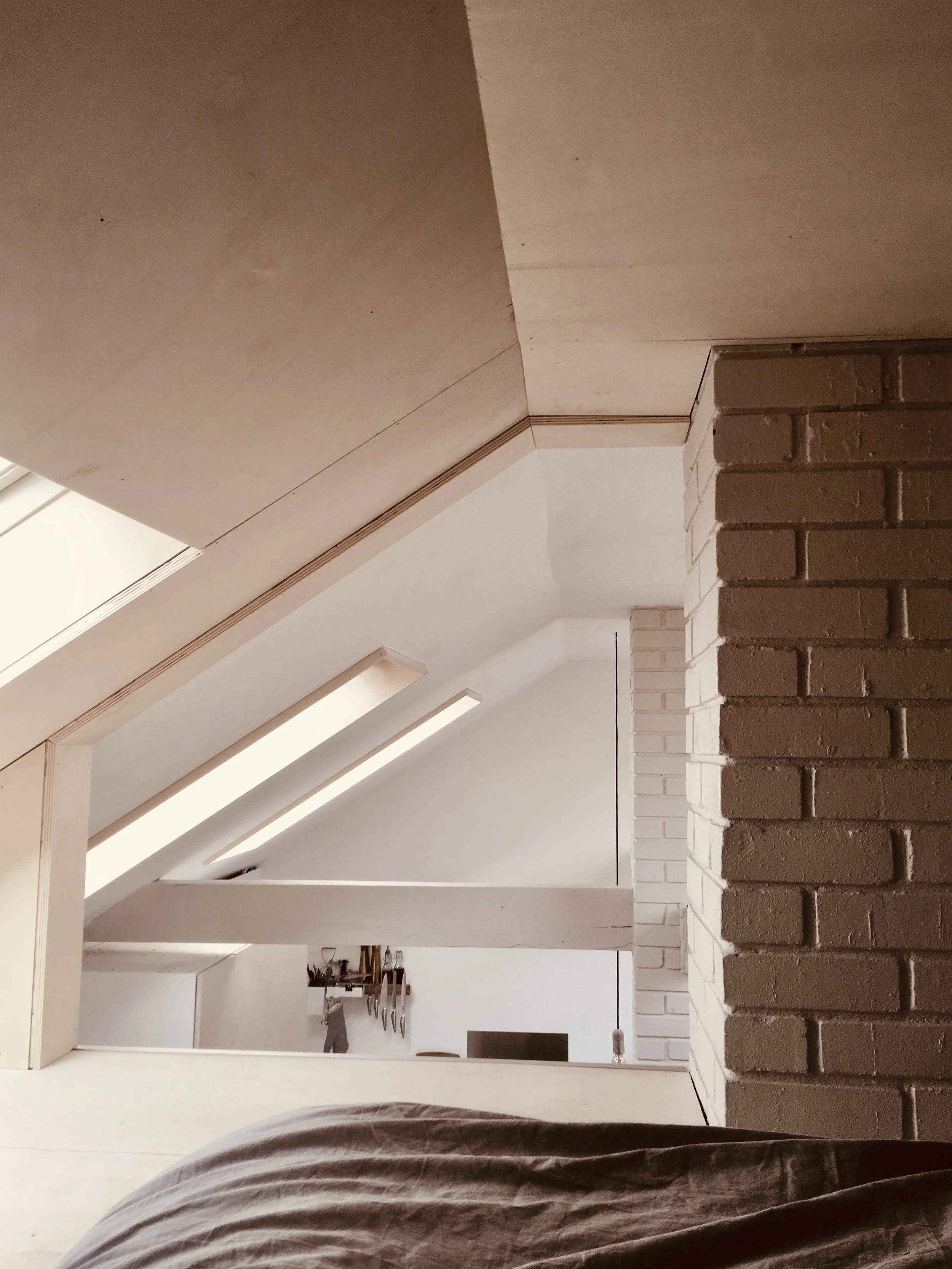 House Form_Eco Studio_Hampshire_04.jpg