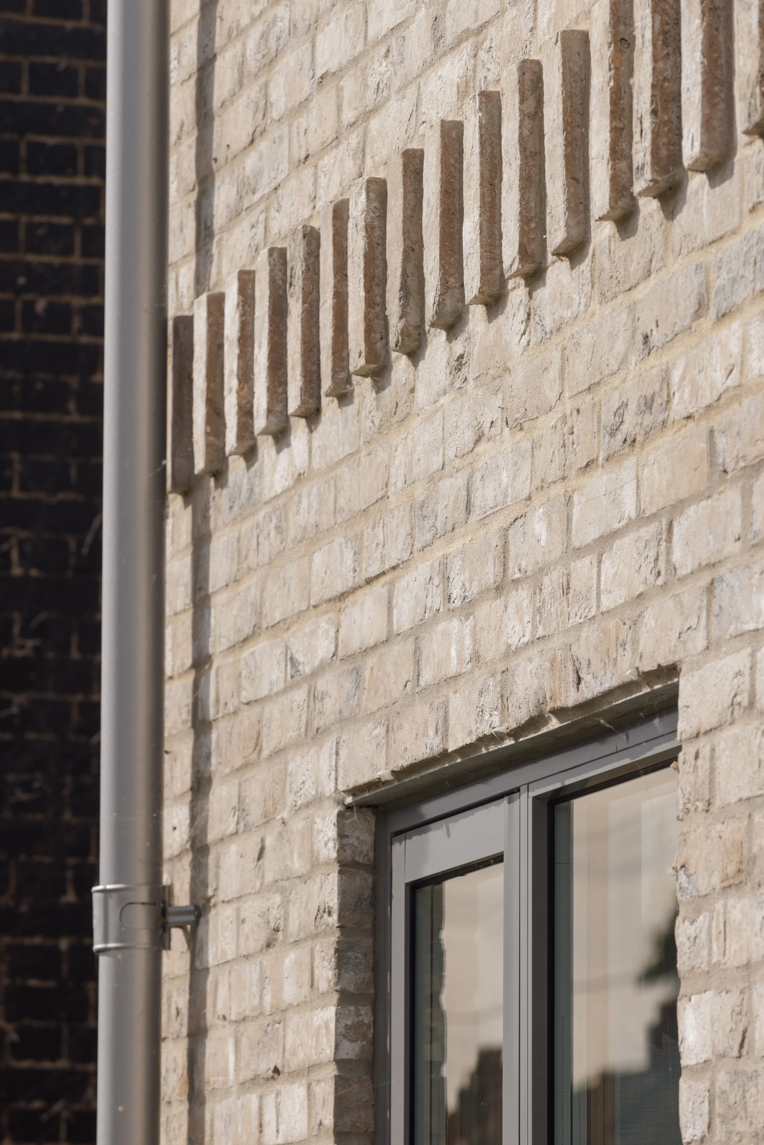 House Form_Pond House_Cambridgeshire_08.jpg