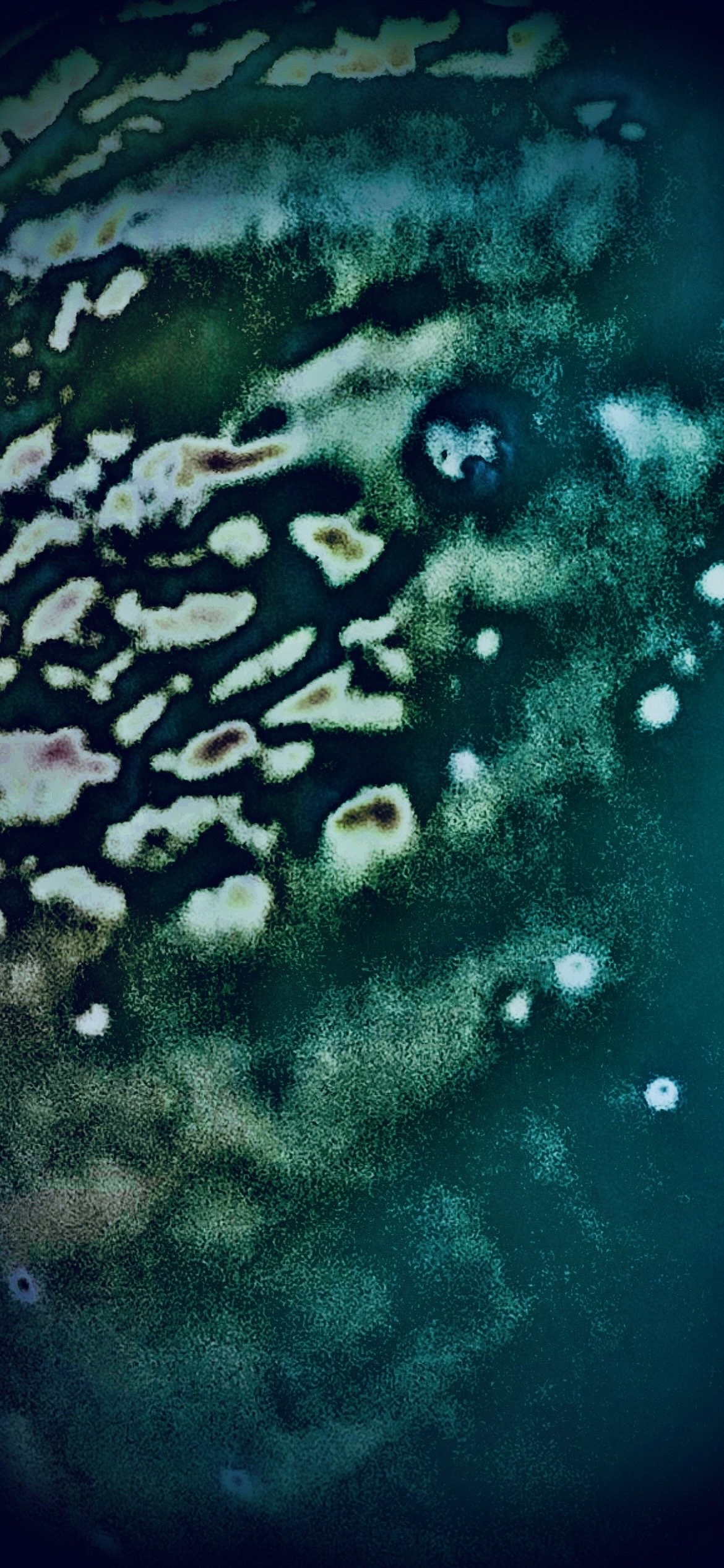 Albius 41e: Seafloor of the Erthyrosan Shelf