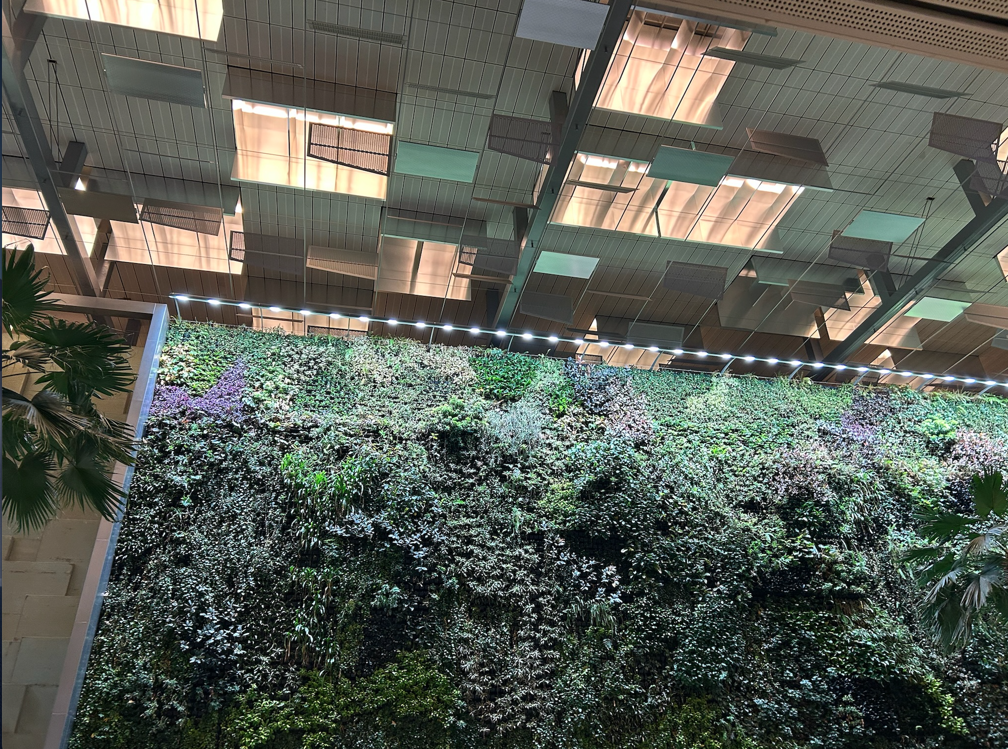 Changi Airport