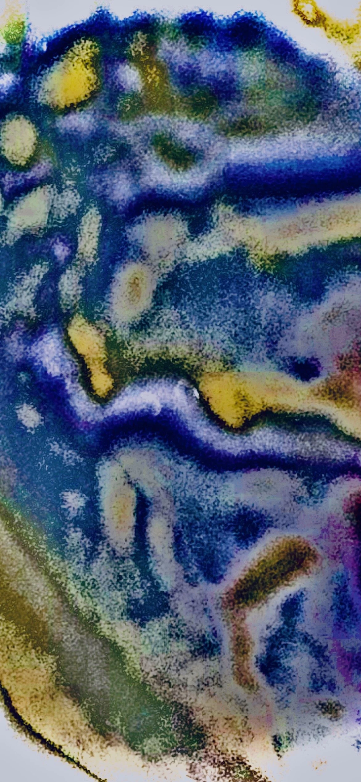 Albius 41e: Sulfurous Islets of the Haggic Rift