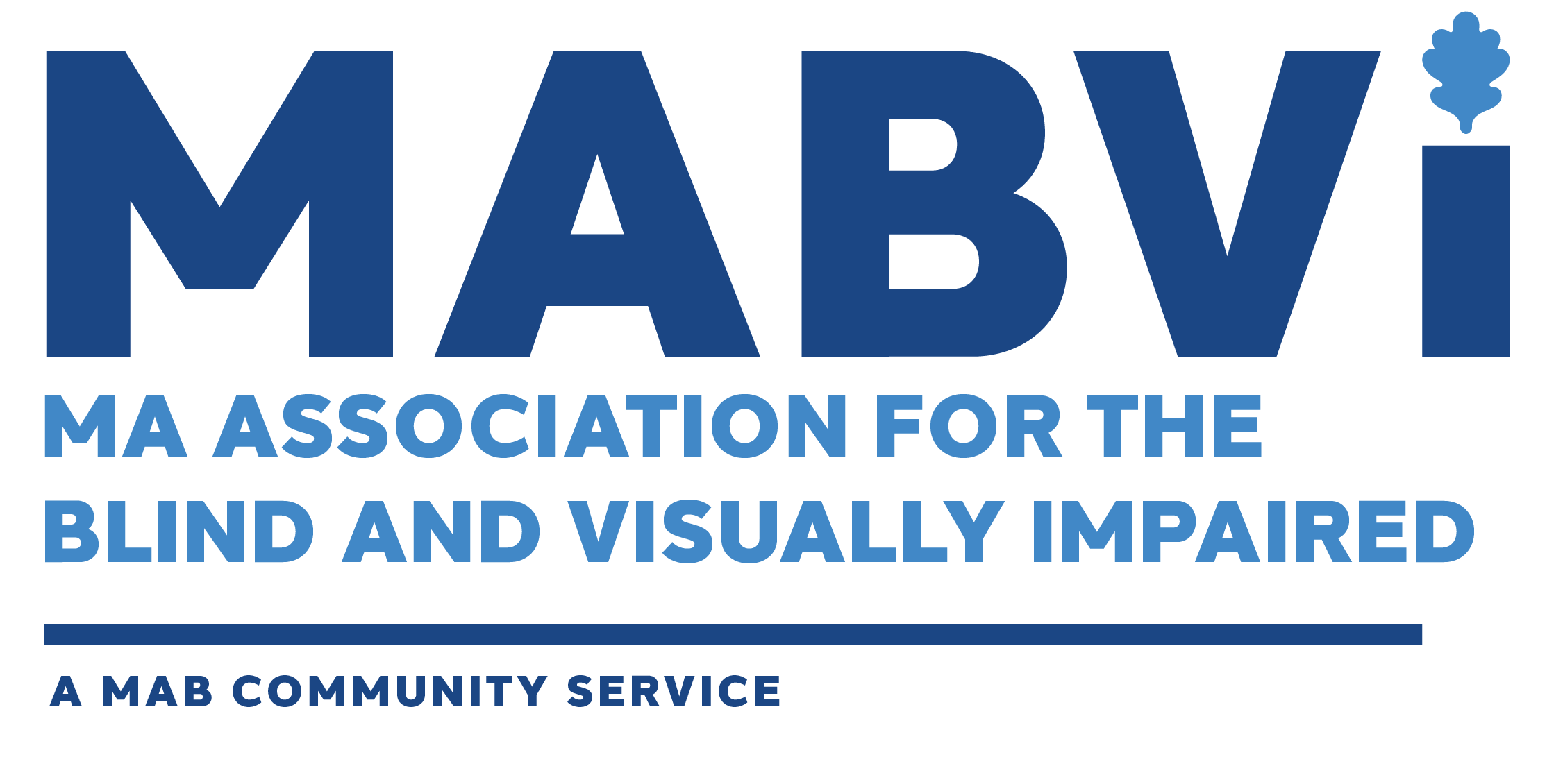 MABVI w MAB Comm Serv