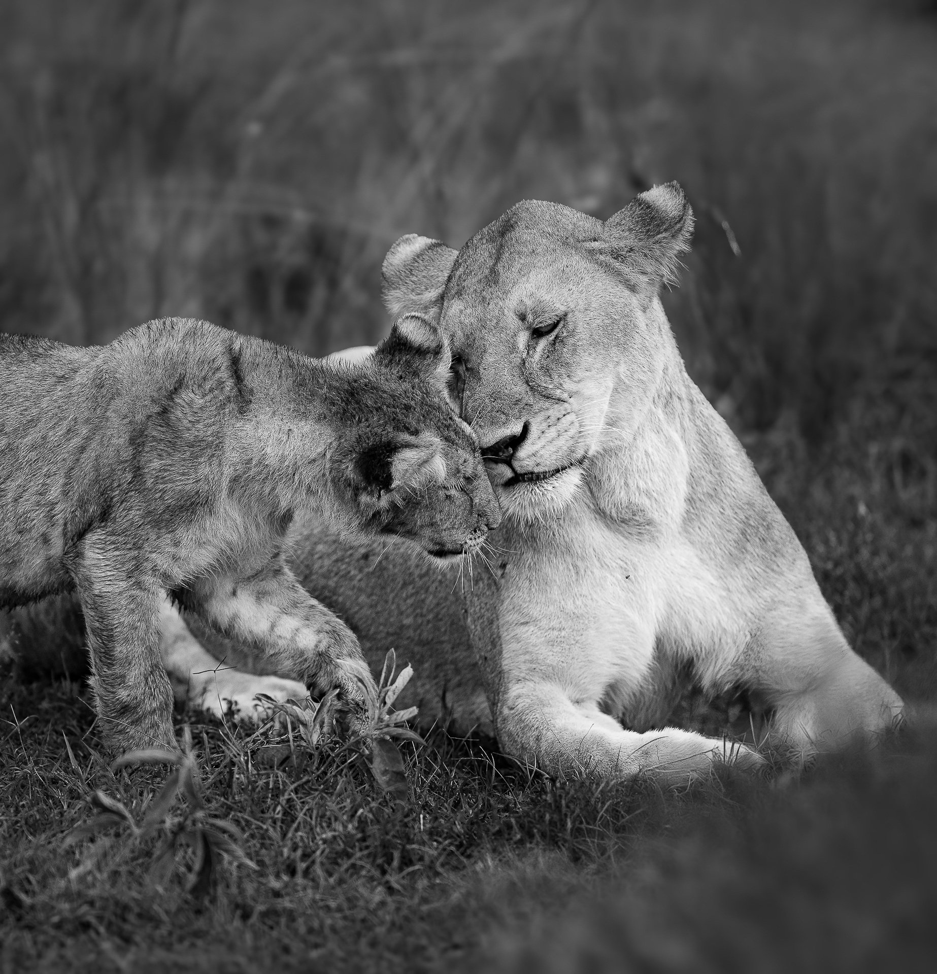 Tender Moment