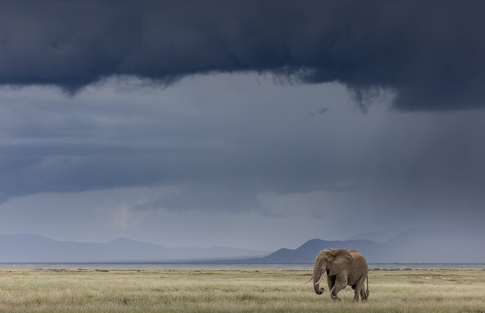 Approaching Storm