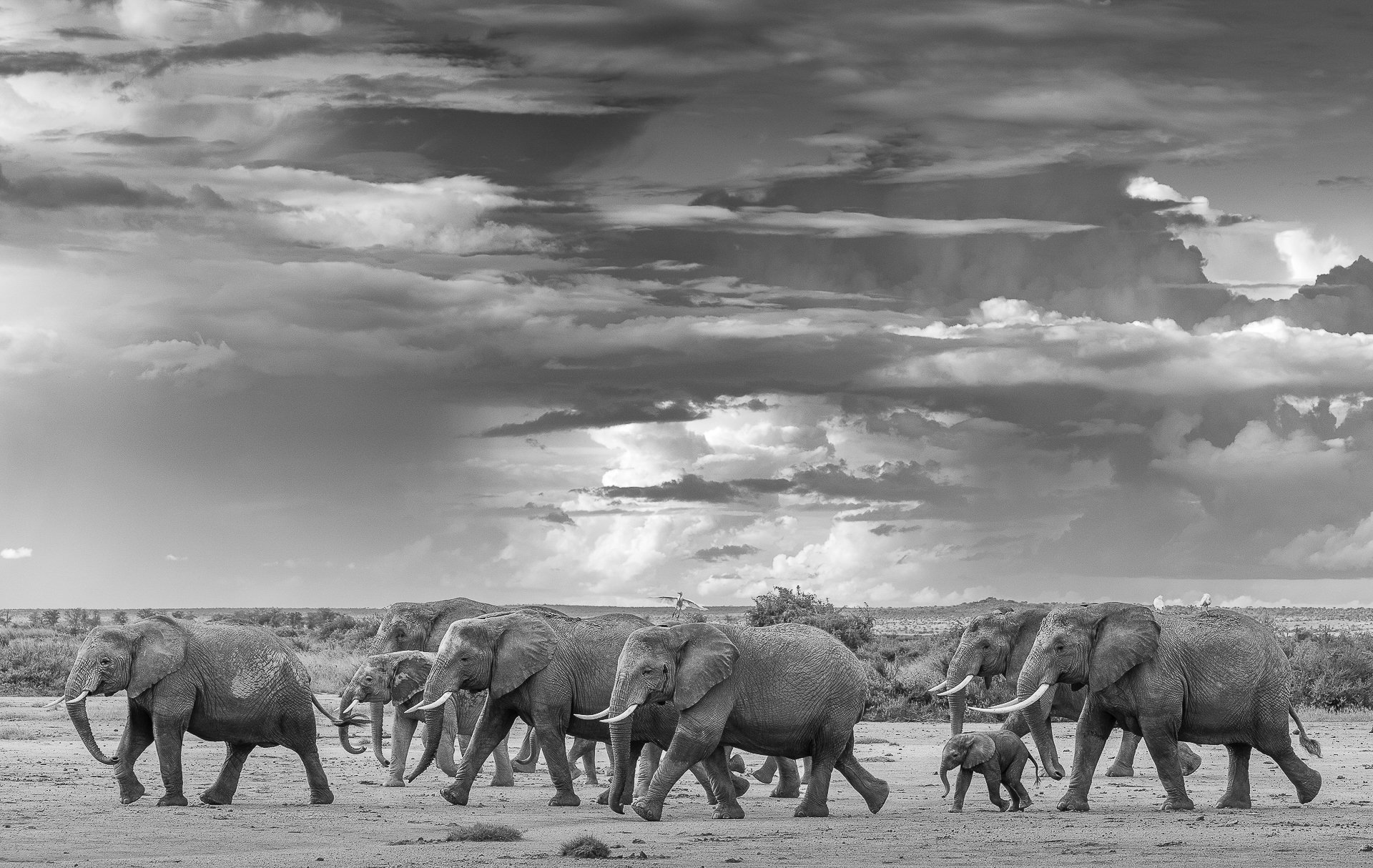 Heading for Water