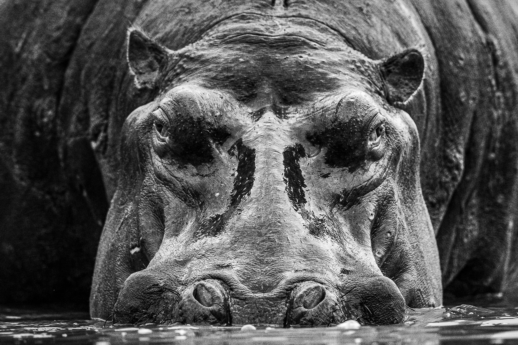 Face to Face