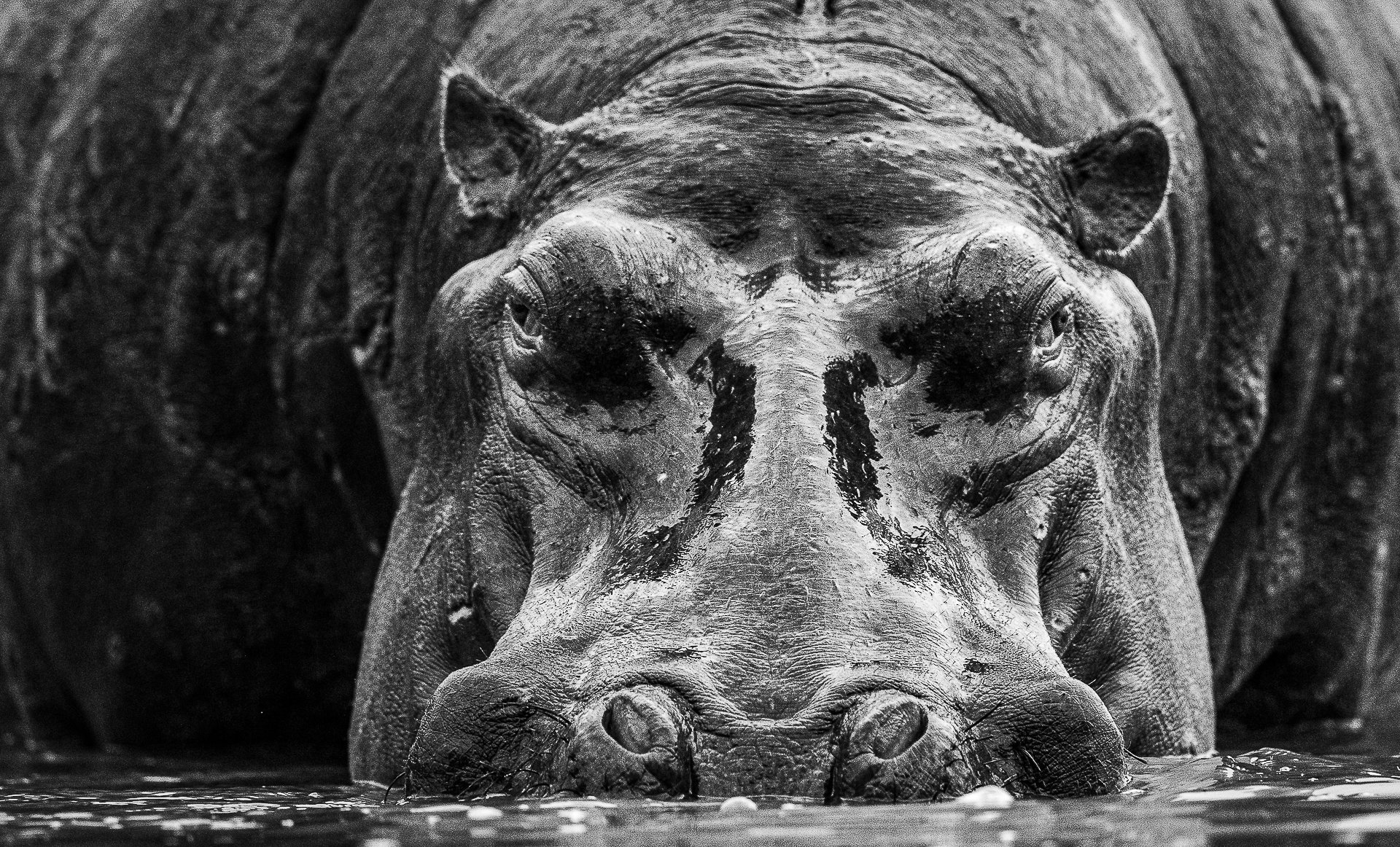 Face to Face