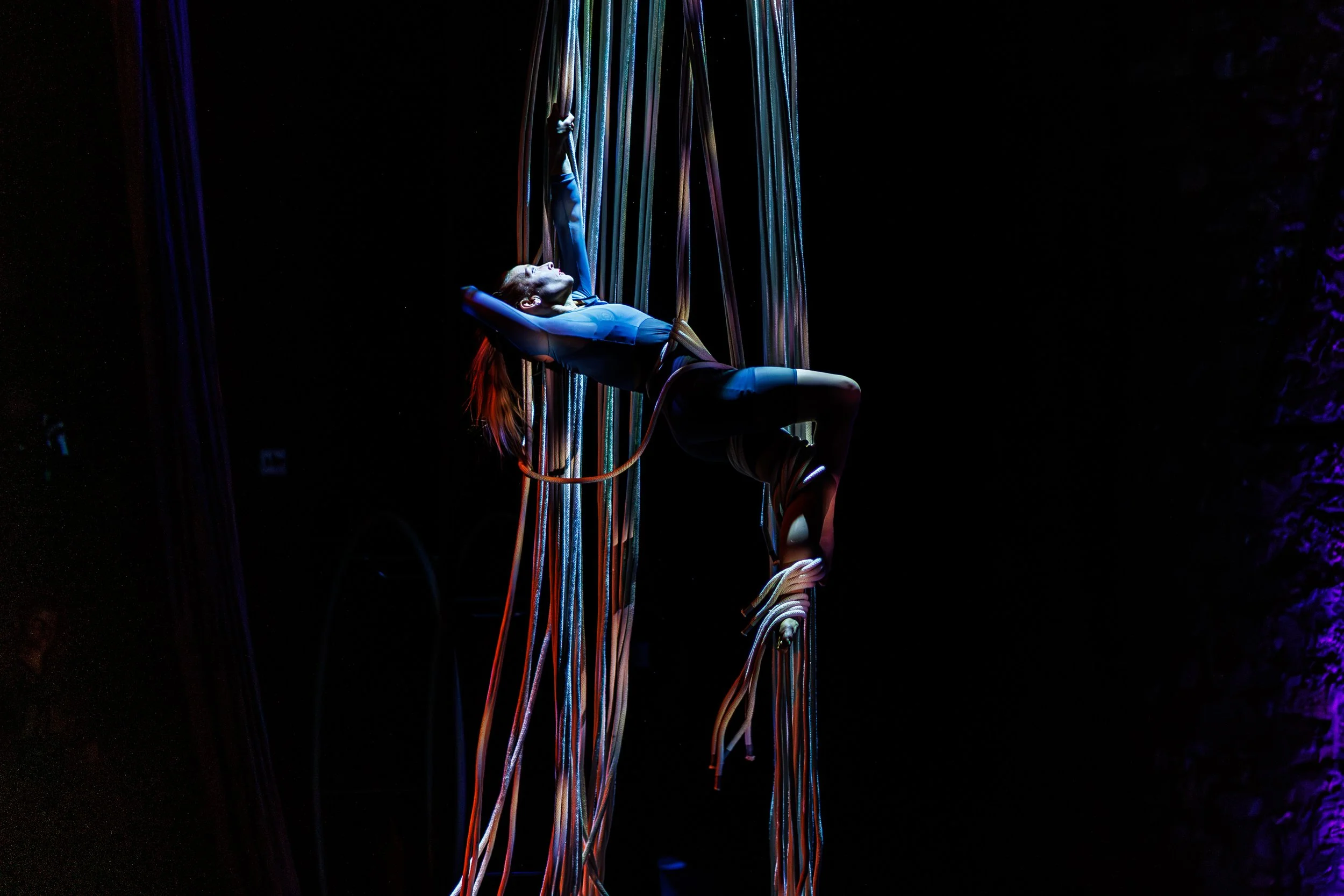 20260314-0W8A9636-Enhanced-NR (1).jpg