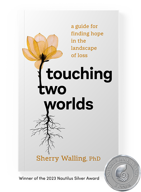 touching two worlds prizes.png