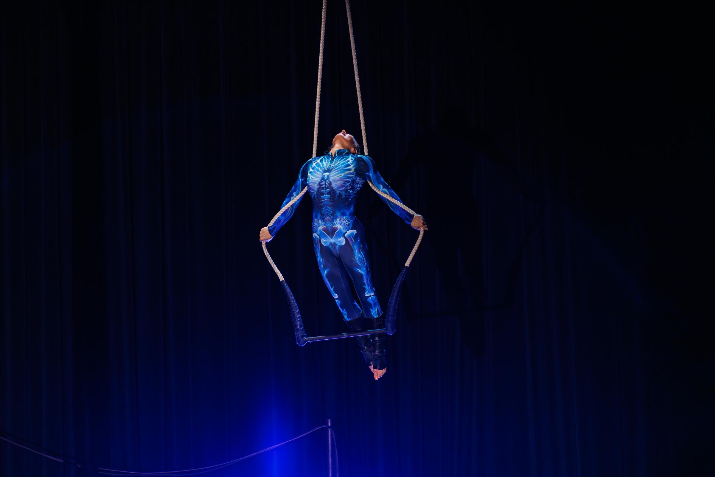 Photos by Steve Bozeman (@clockworksteve) and Anne Fry (@photobyannefry)