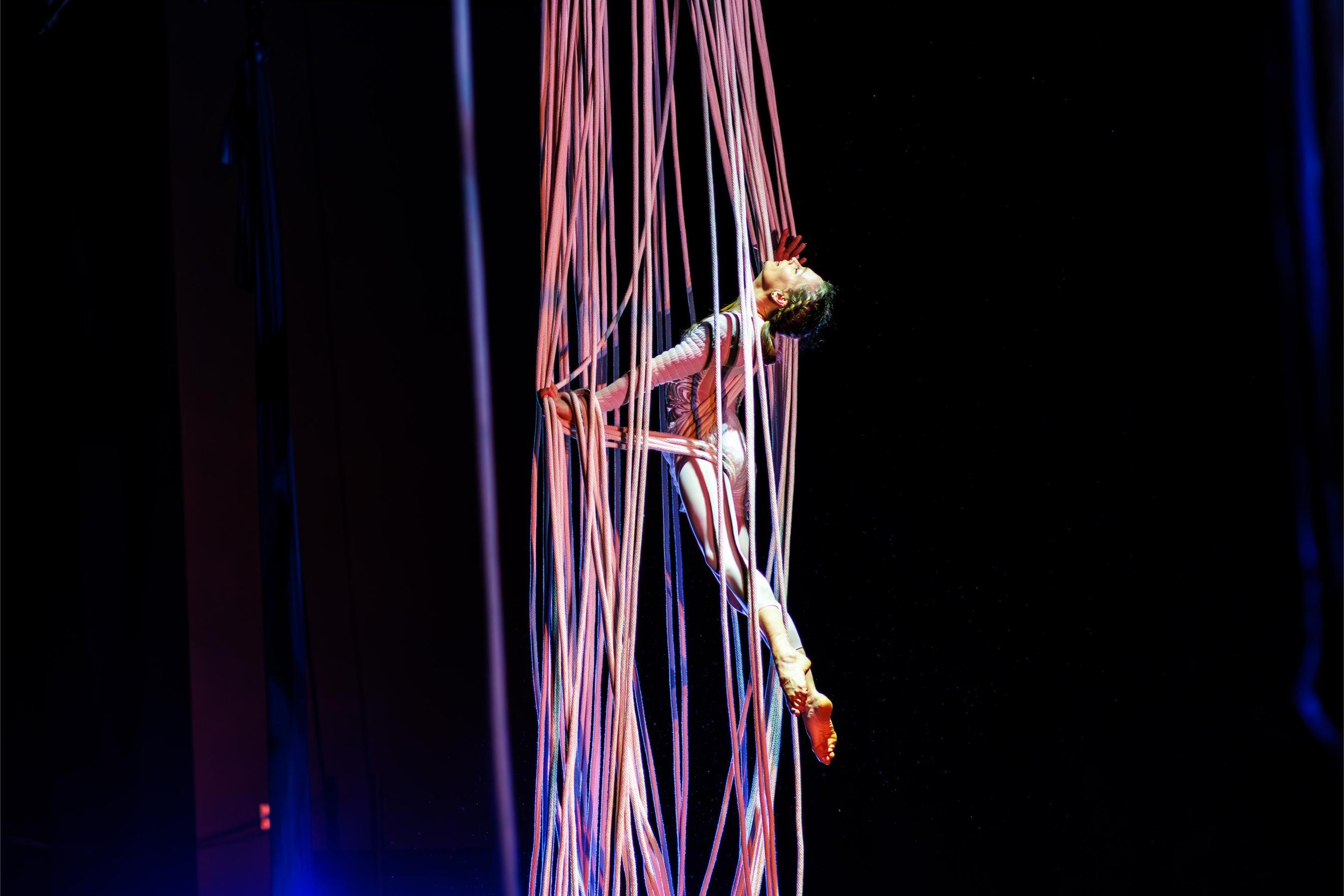 Photos by Steve Bozeman (@clockworksteve) and Anne Fry (@photobyannefry)