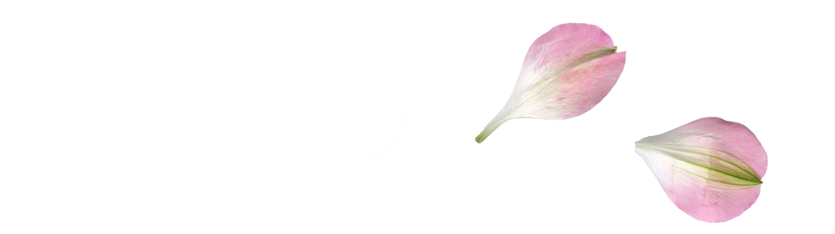 flower-strip-1E.png