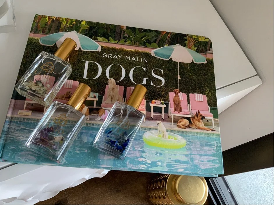 STOP SCROLLING &amp; STEP INTO A WORLD OF BEAUTY, BEACHES &amp; BLING