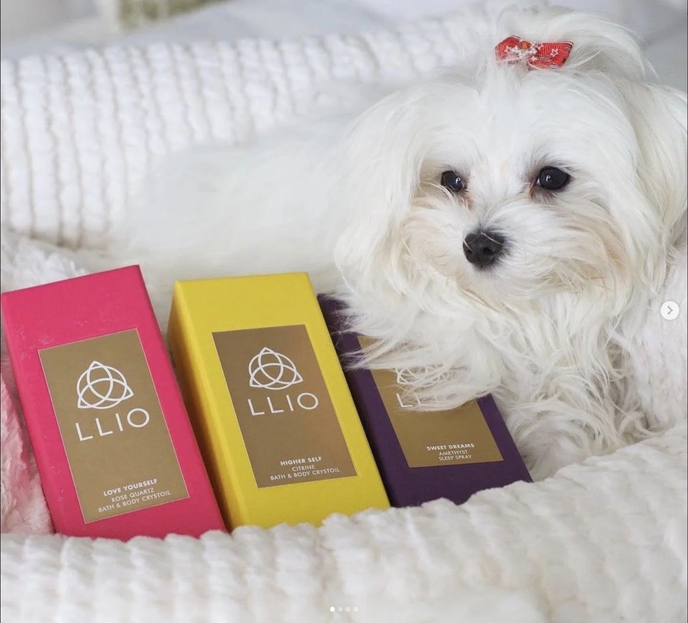 BATH-TIME MUSINGS: CAN YOU TALK TO YOUR PET?