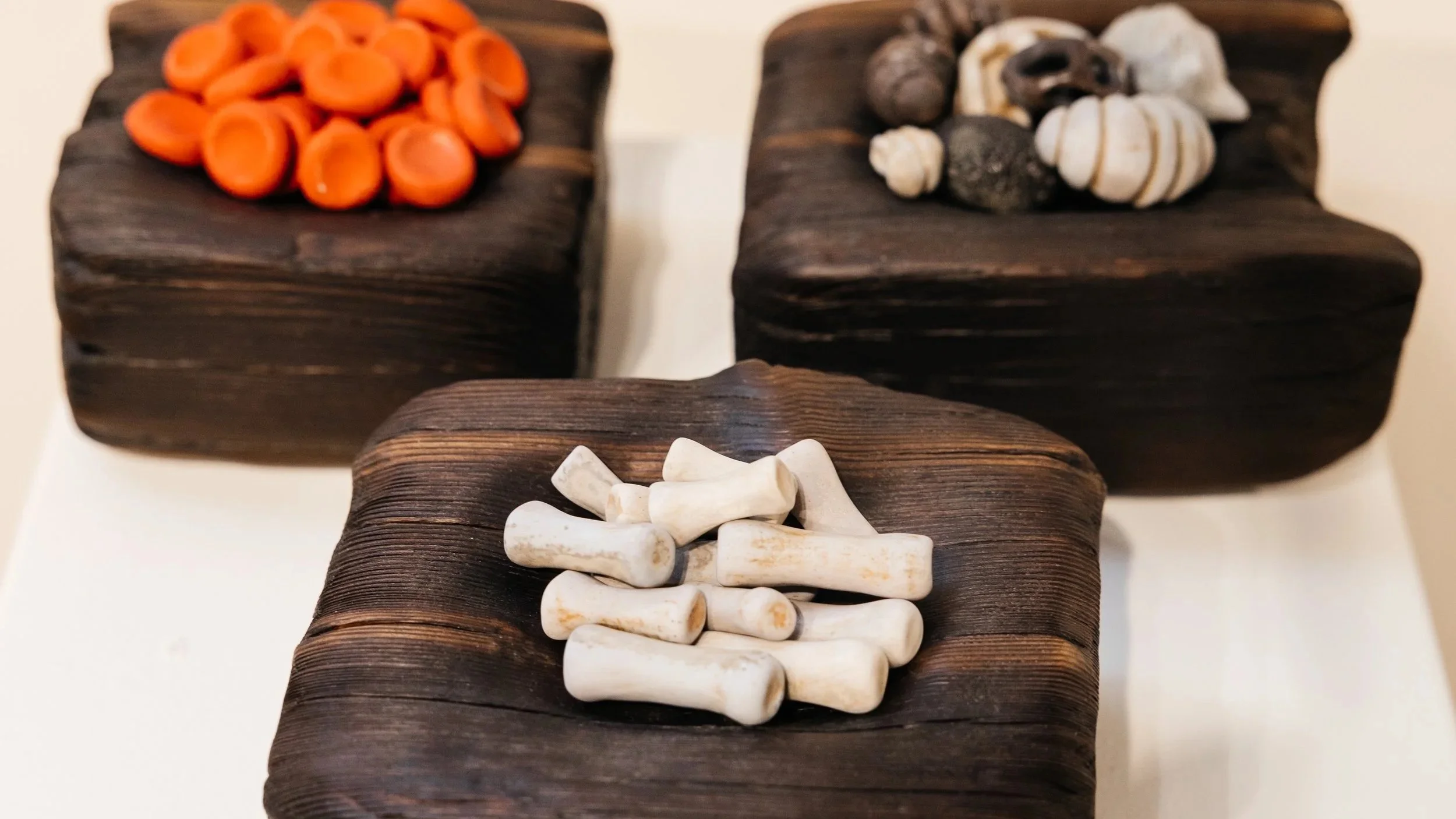 "Today's Specials"
Ceramic collections grouped together on charred wood bases