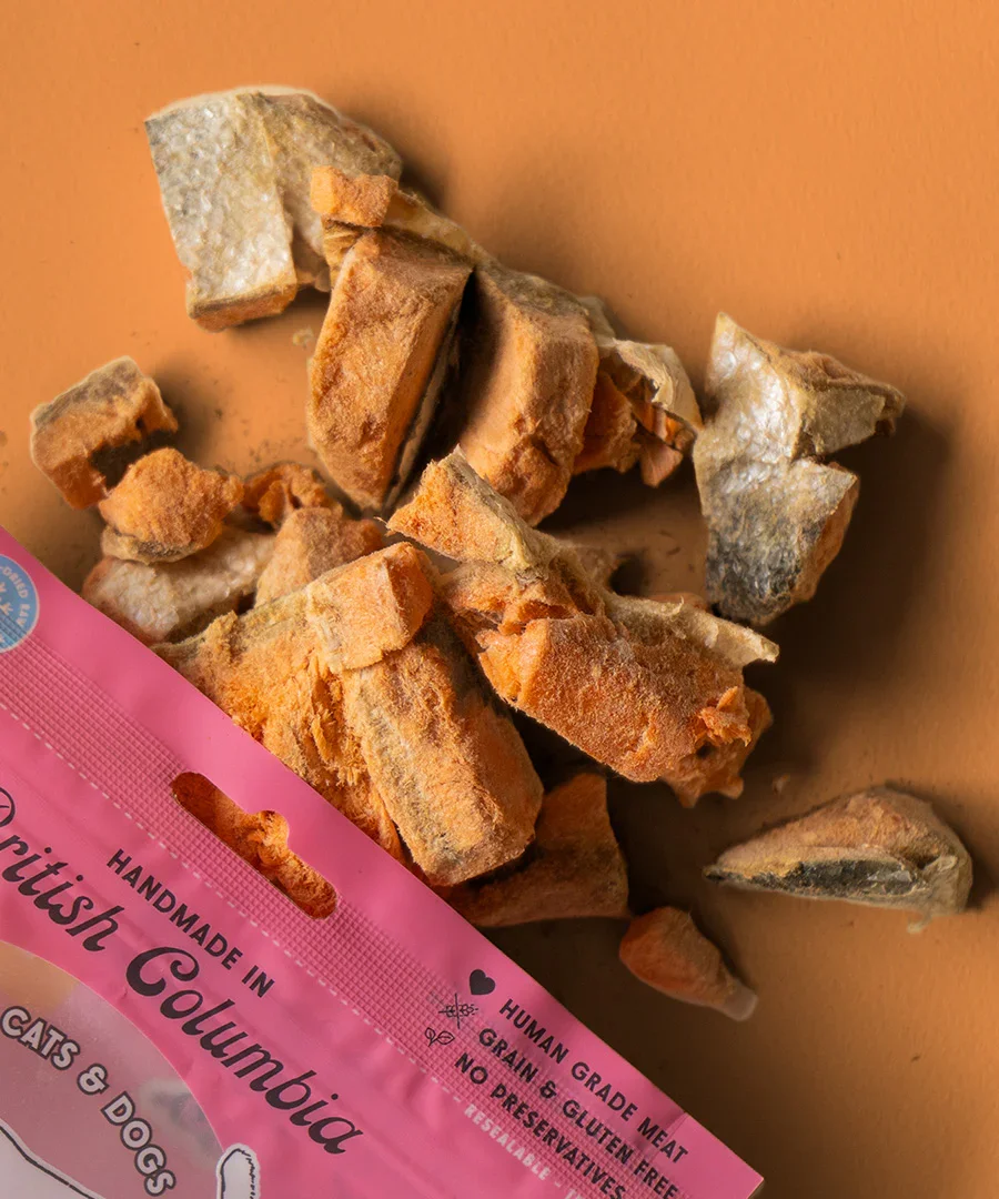 Wild Vibes Salmon & Bone Broth Treats 75