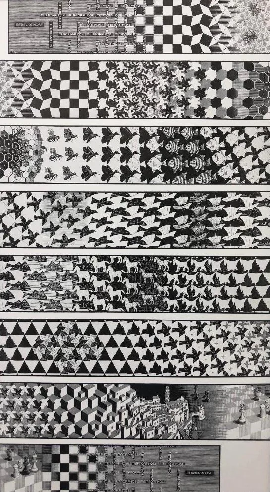 MC Escher's Metamorphoses Prints