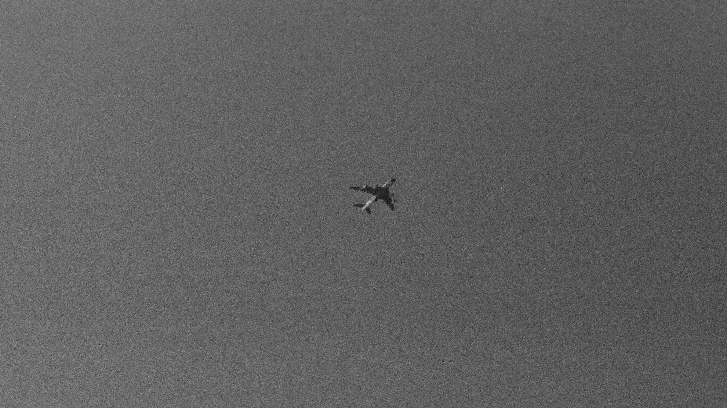 49660033.jpg