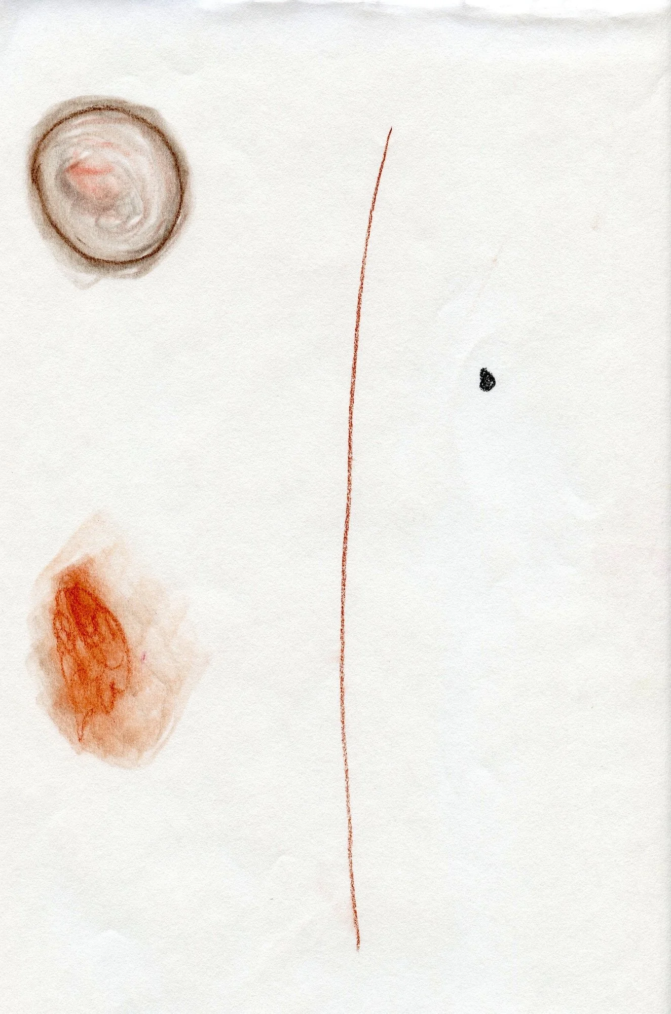 drawings20260516_13.jpg