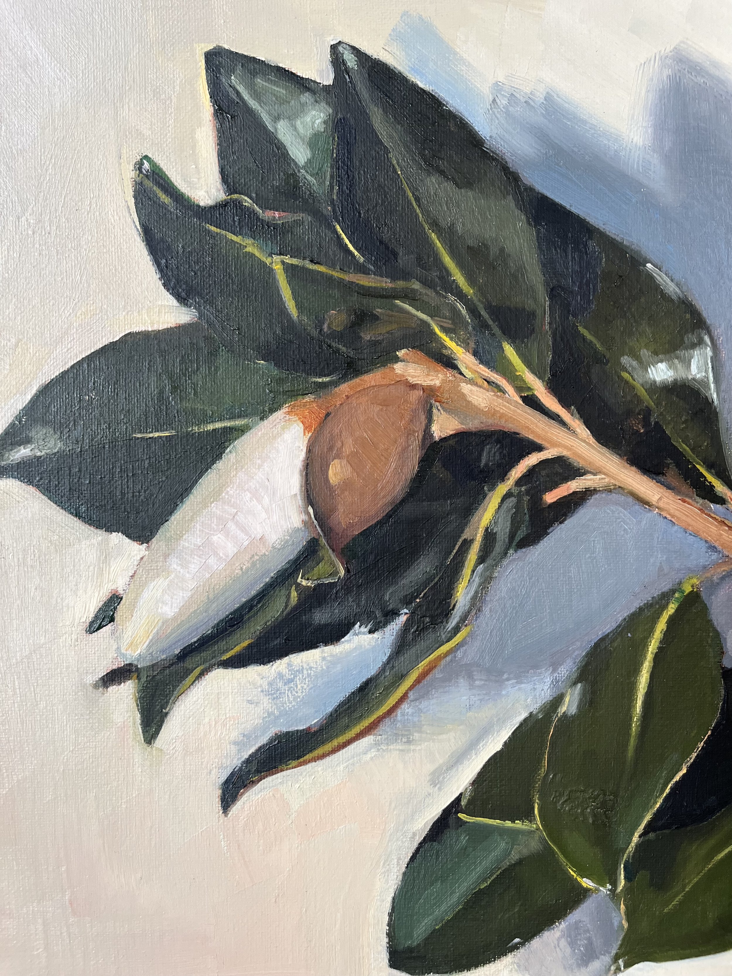 4) Magnolia. Detail. Elizabeth Jane Austin. .jpg