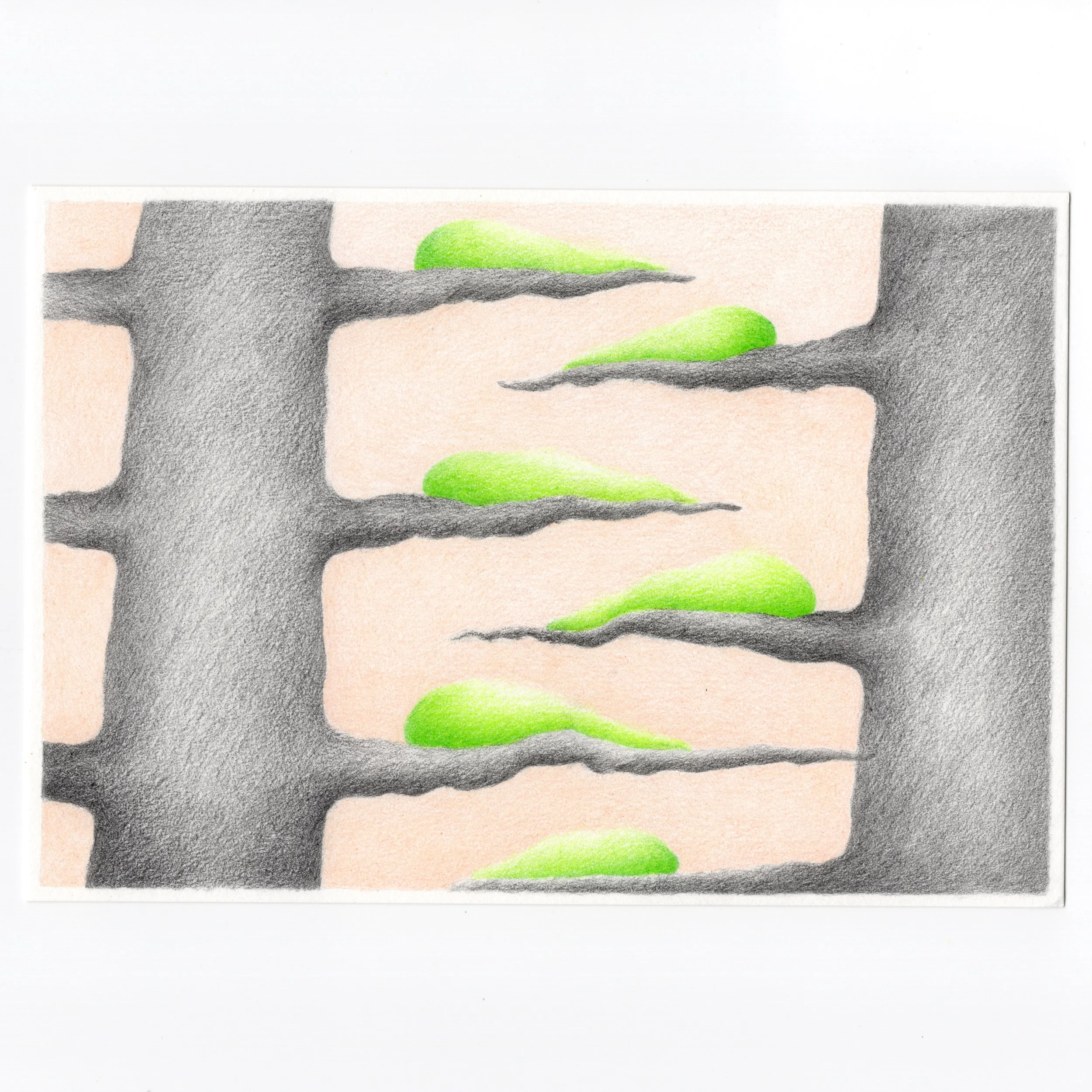 On equal footing, 2026
Kailun Yang 5.5 x 7.5 in
Pastel, colored pencil, graphite, and watercolor on paper