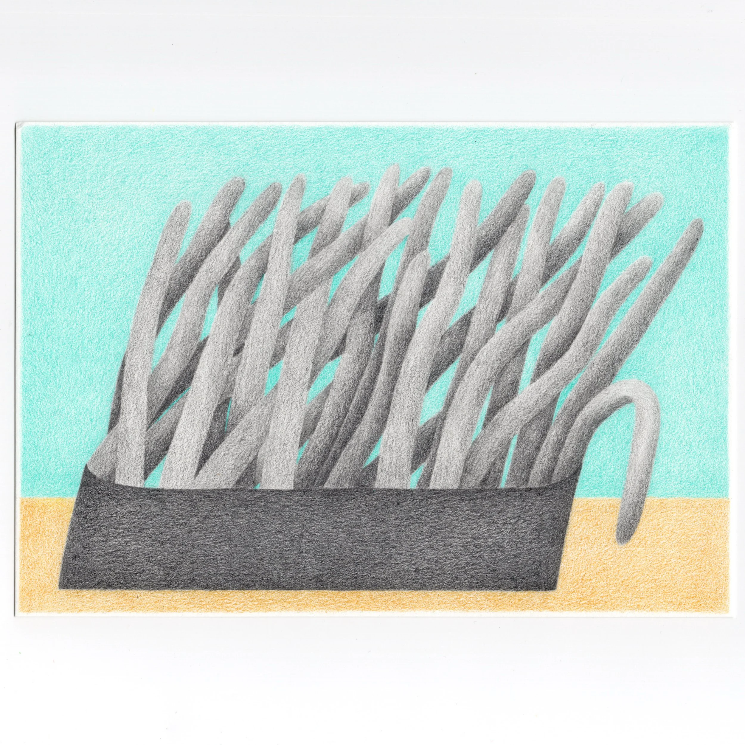 caged swan,2026
Kailun Yang 
5.5 x 7.5 in
Colored pencil, graphite, and watercolor on paper