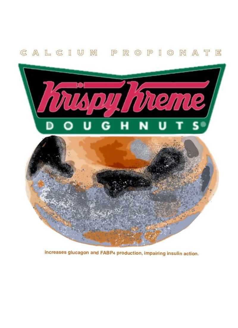 img_krispykreme2.JPG