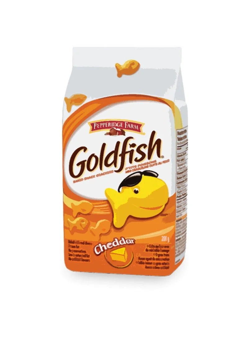 img_goldfish1.JPG