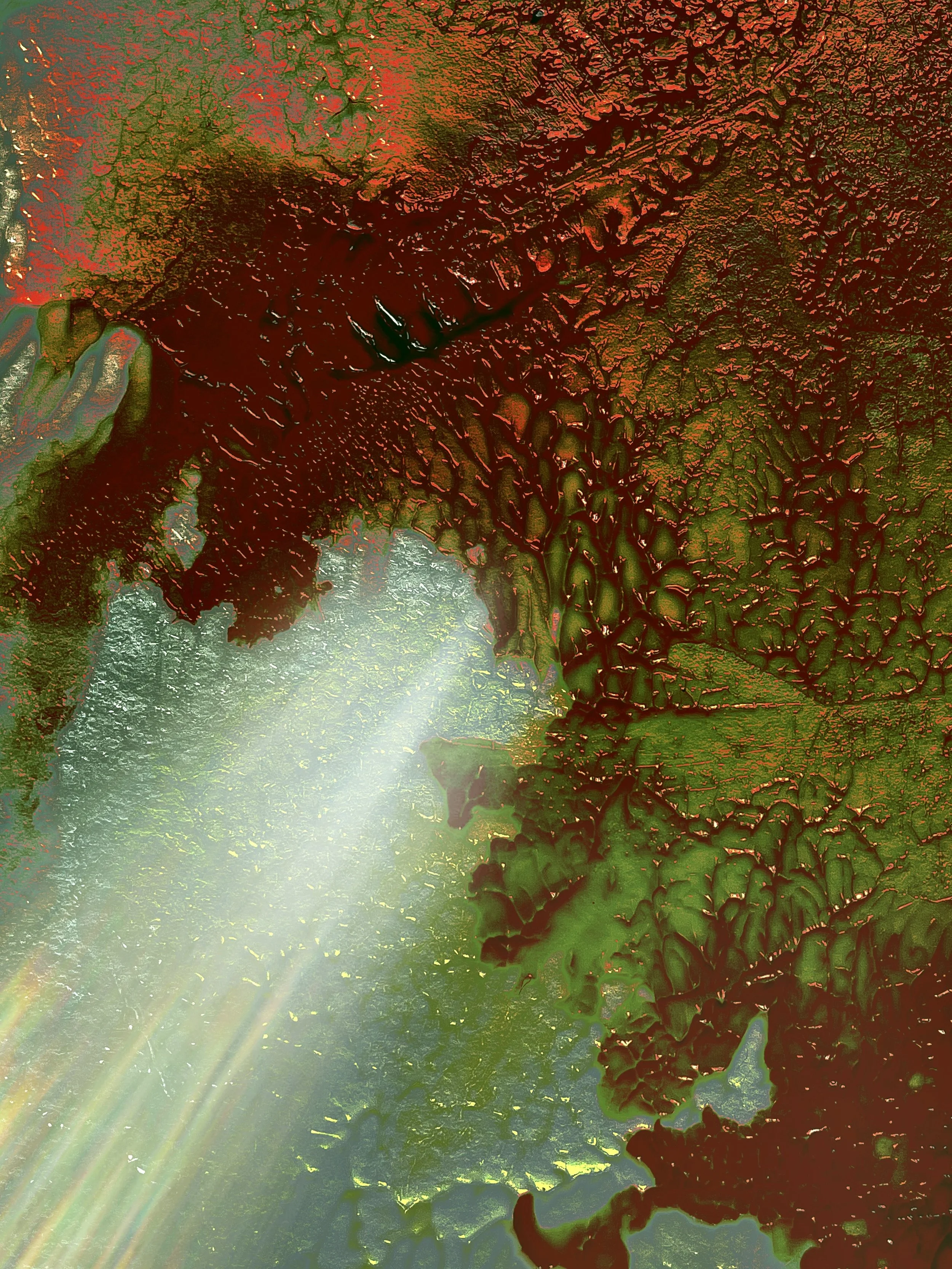 Chaya