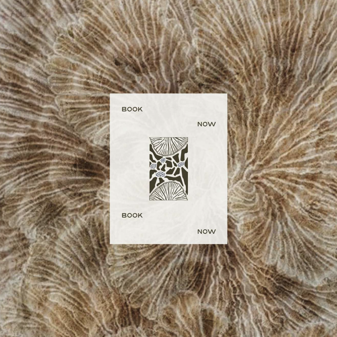 Screenshot 2025-11-12 at 3.01.33 PM.png