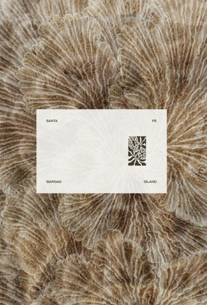 Screenshot 2025-11-12 at 3.01.22 PM.png