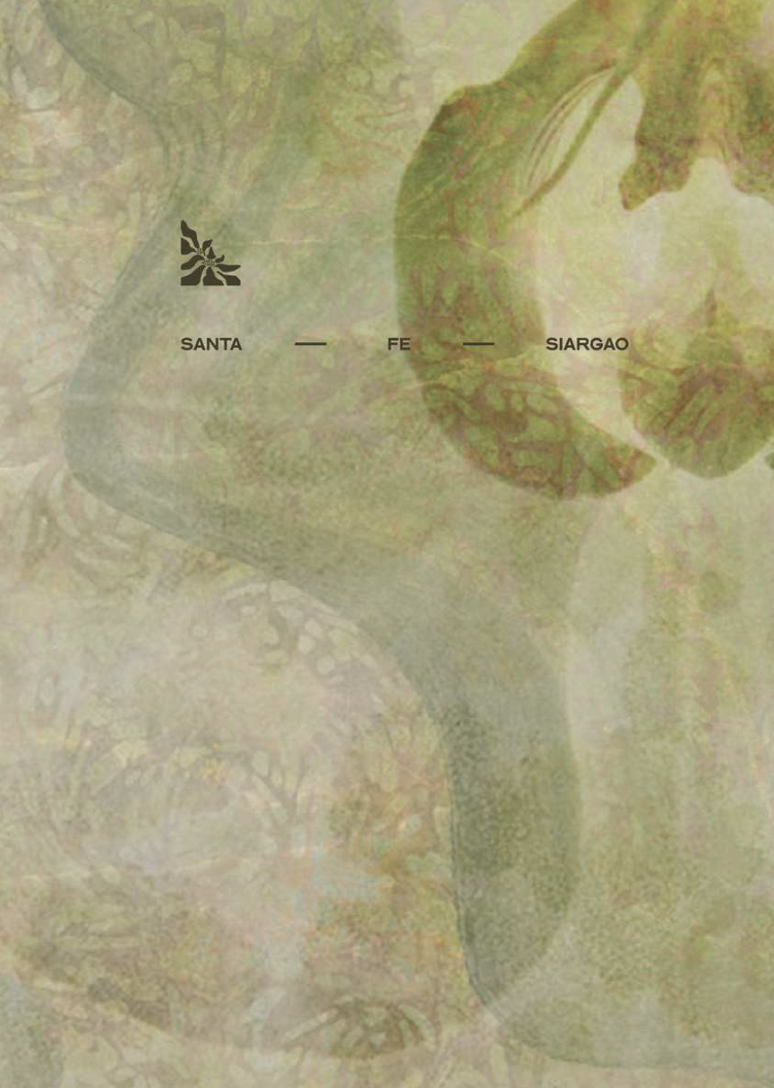 Screenshot 2025-11-12 at 3.01.13 PM.png