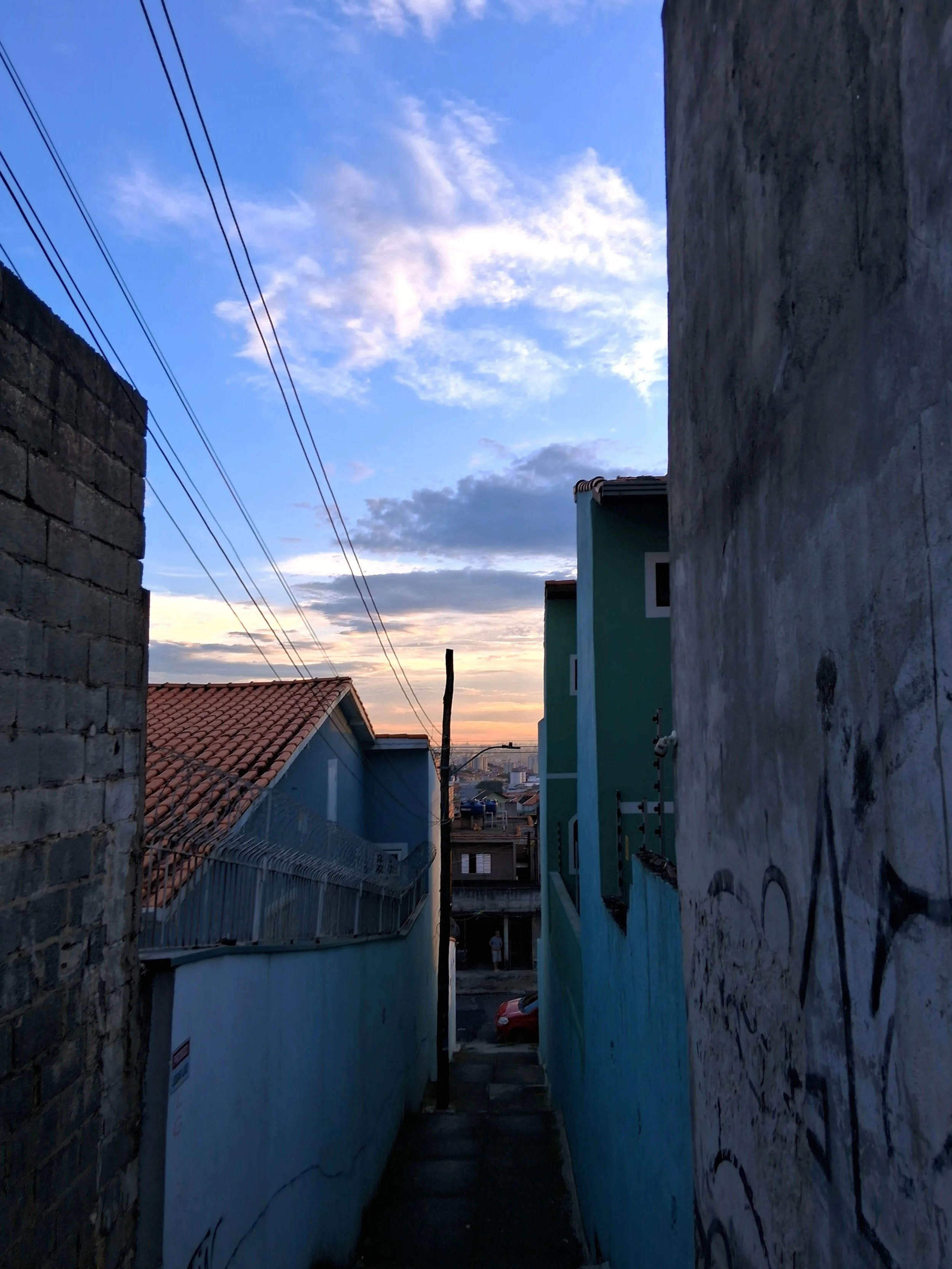 1000022041.jpg