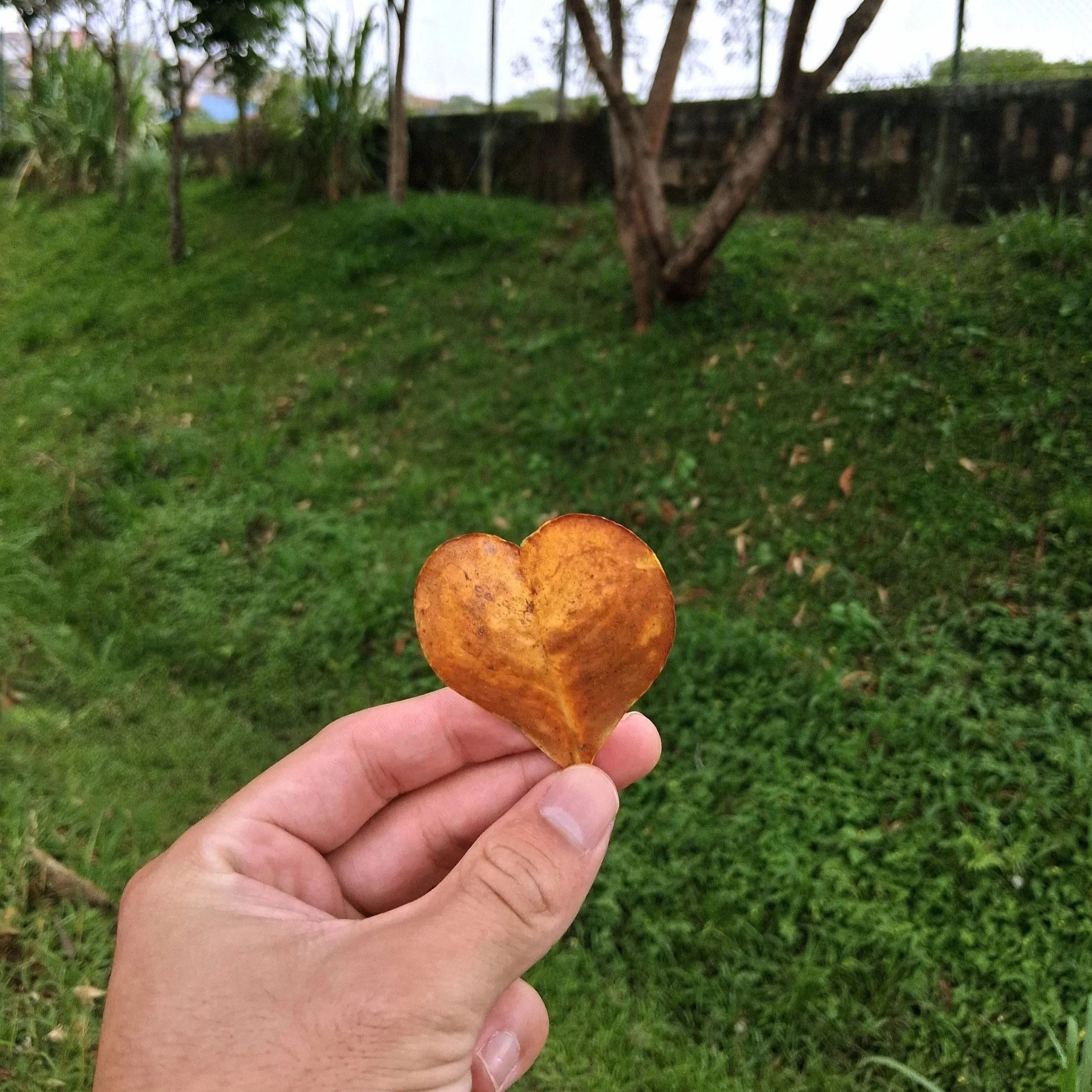 How to Be a Missionary