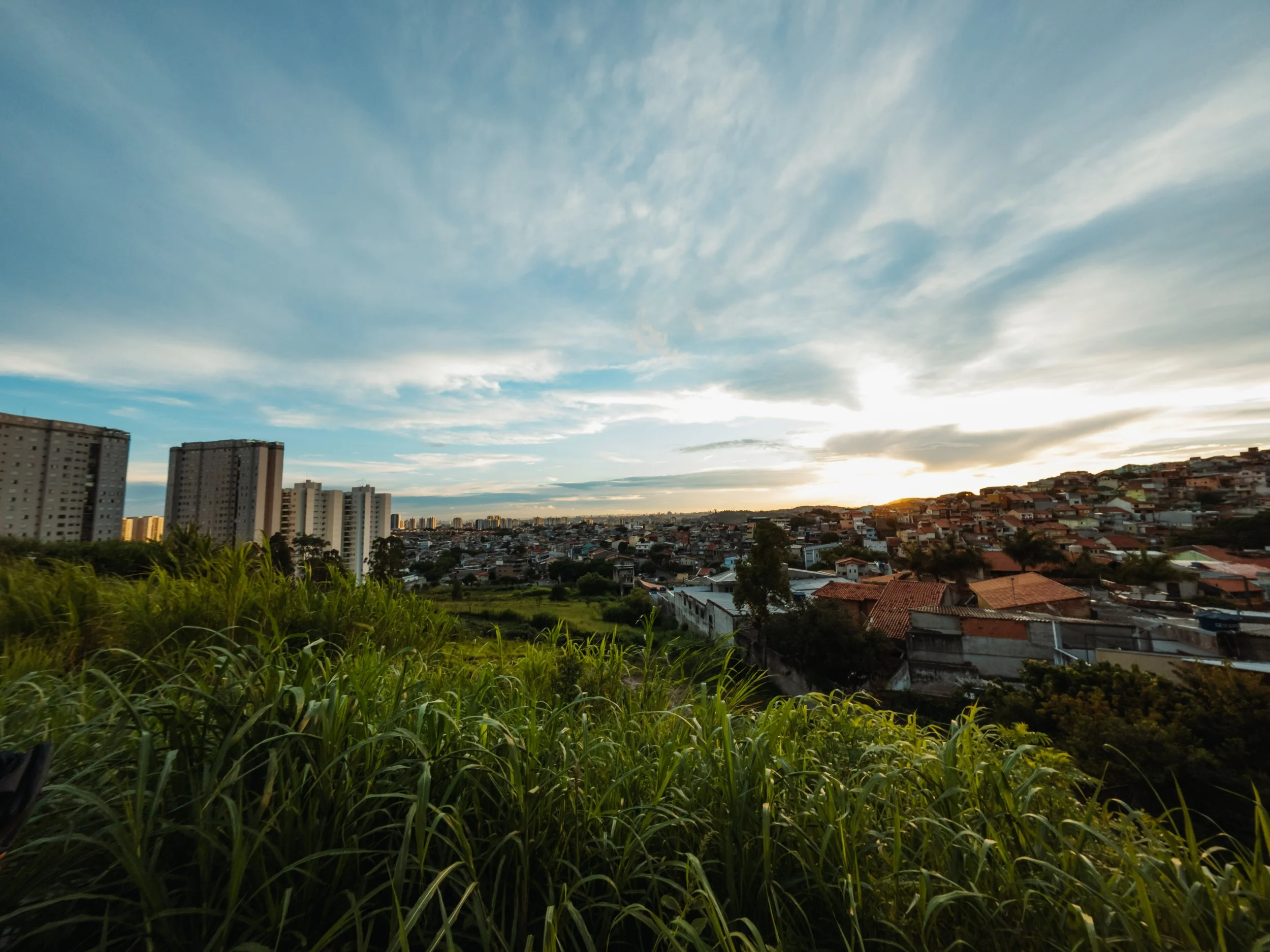 Headed to the Farmlands…but in Brazil