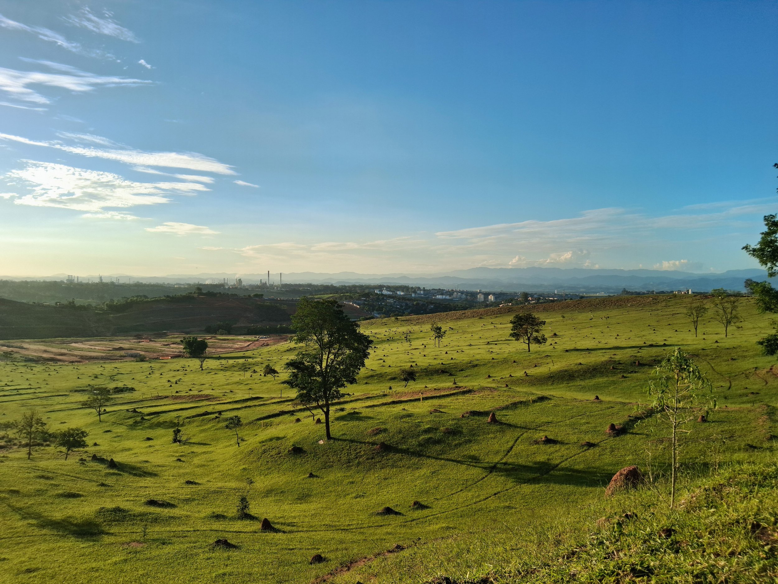 The Light at the End of the Tunnel