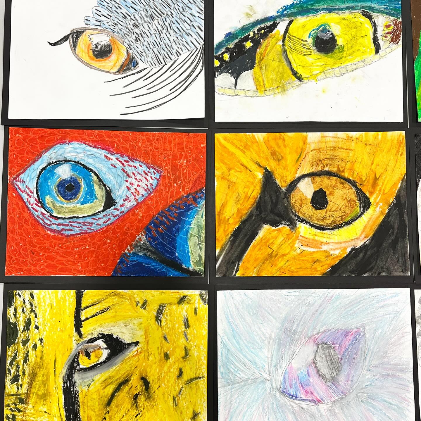 Looking very closely&hellip; 👁️ &hellip;drawing the details, every whisker, hair, and feather! Another Spring Break Art Camp project from our &ldquo;Into The Wild&rdquo; week: Campers chose a close-up photo of an animal eye and recreated it with col