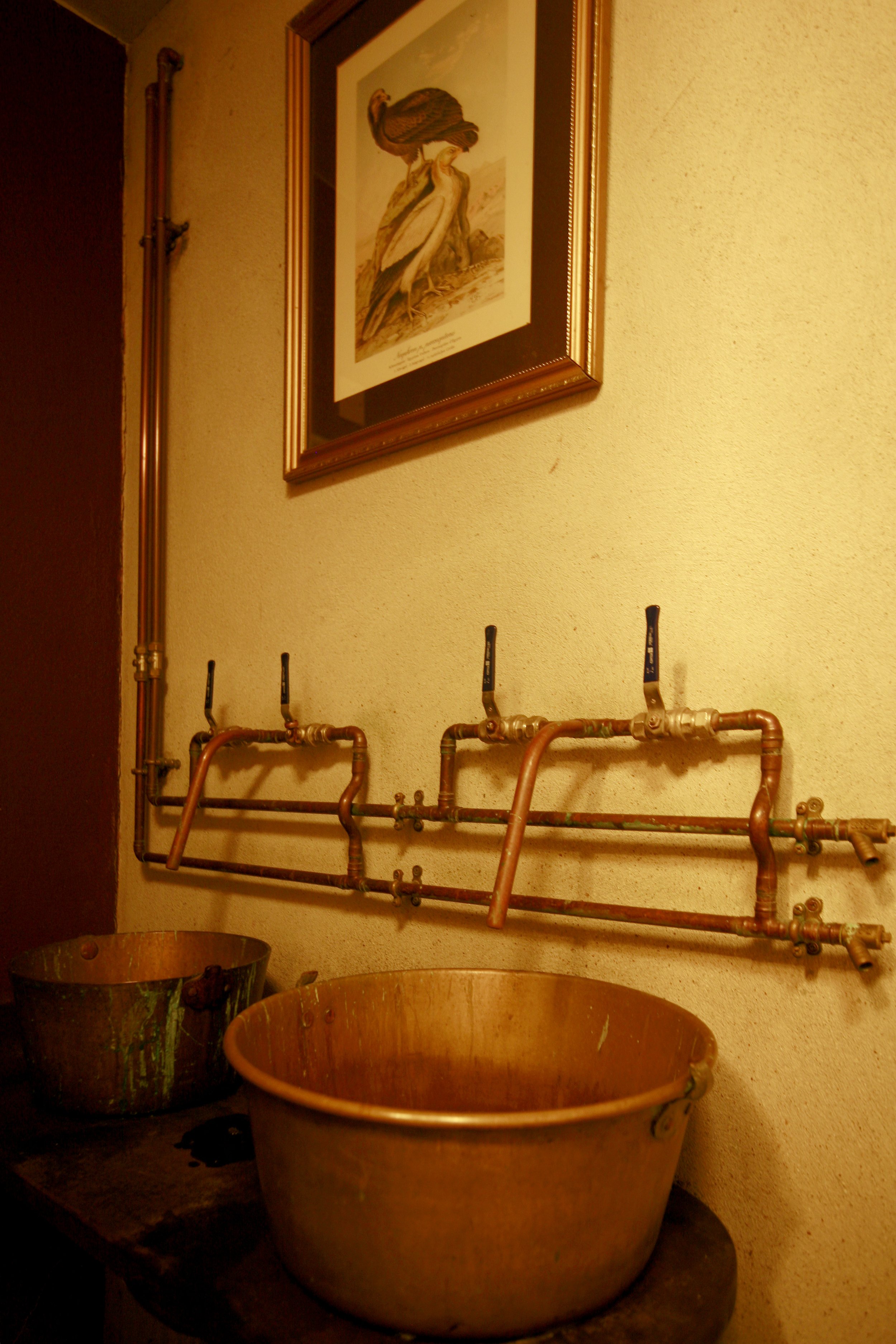 _MG_2474.jpg