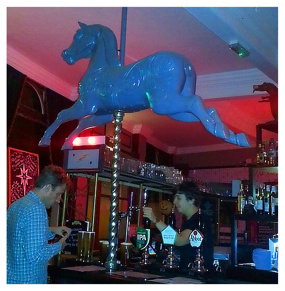 horse on bar.jpg