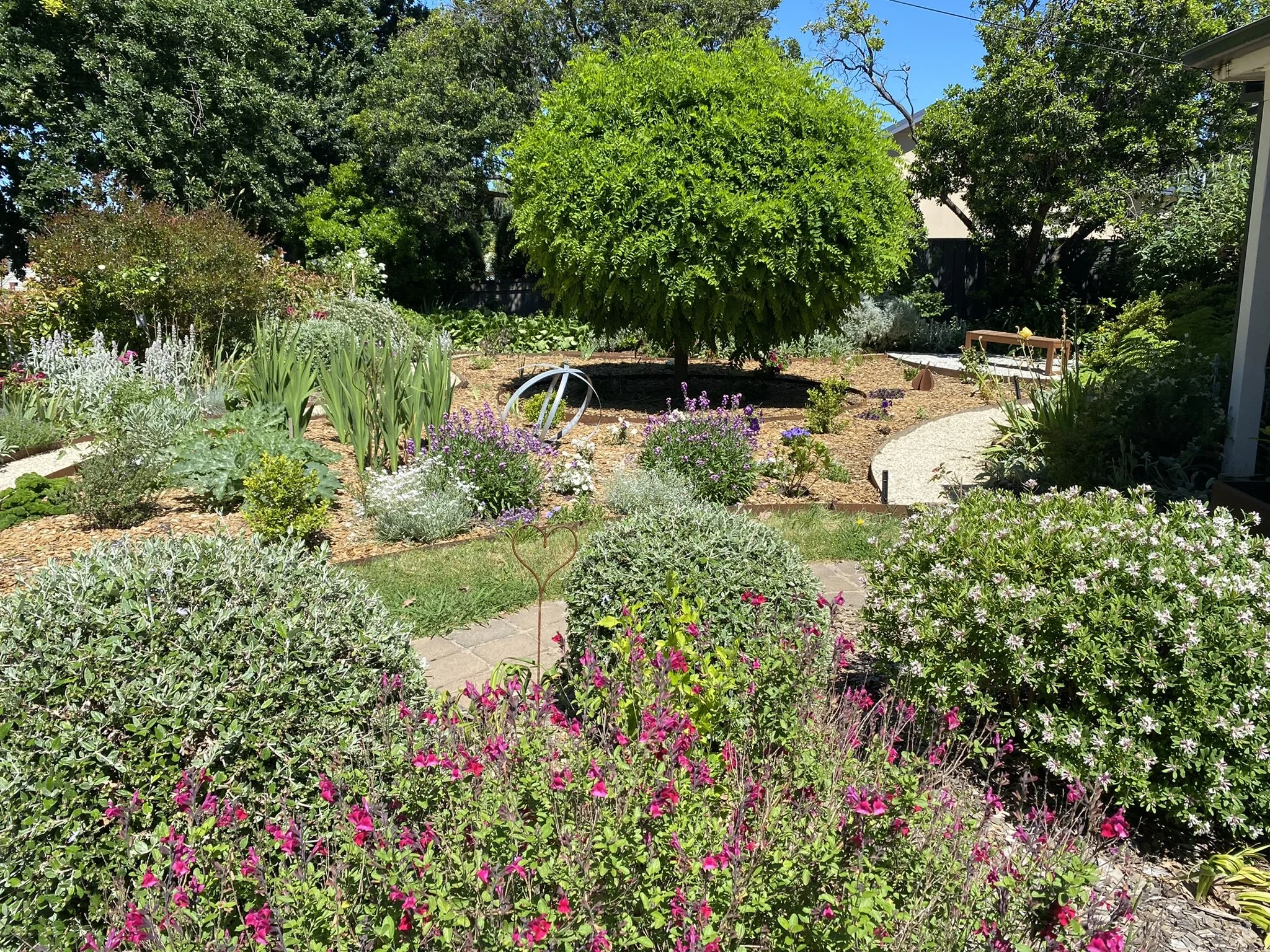 front garden design by serenity garden design