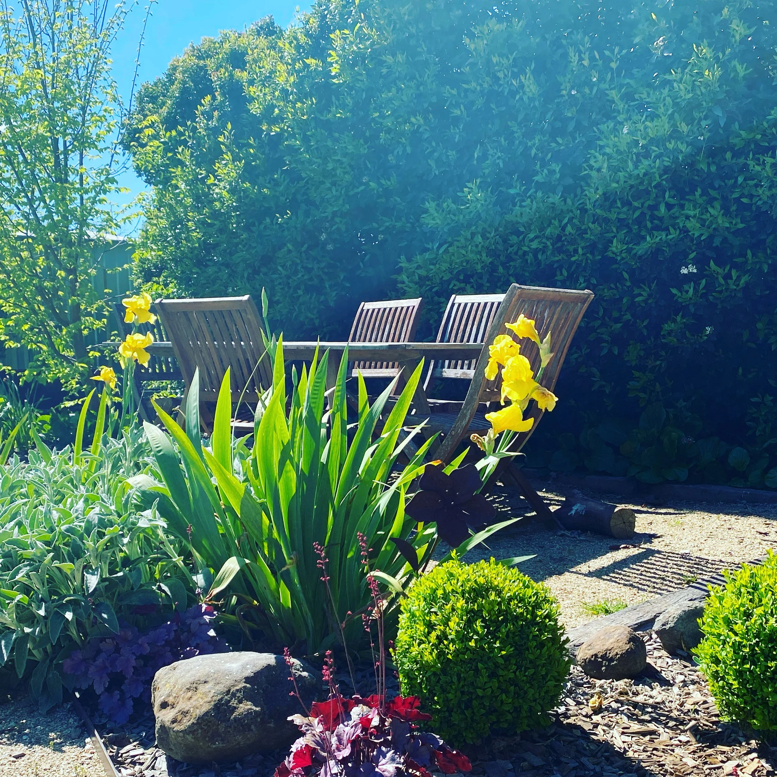 serenity garden design orange - outdoor entertaining, outdoor dining