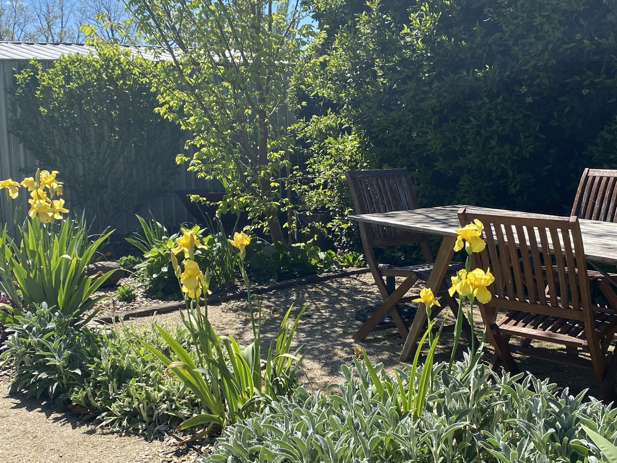 serenity garden design orange - outdoor entertaining, outdoor dining