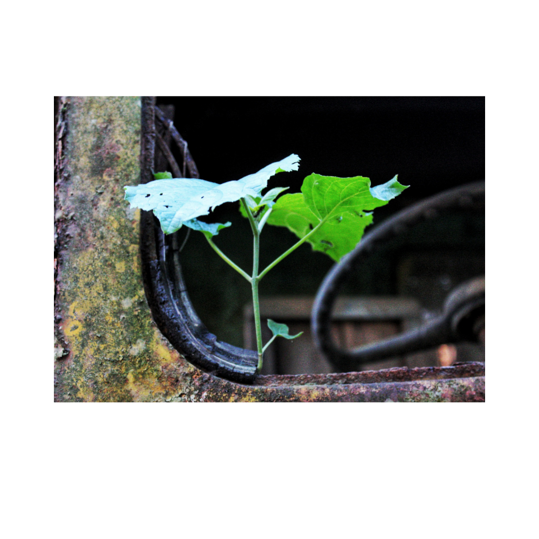 Unpredictability is okay