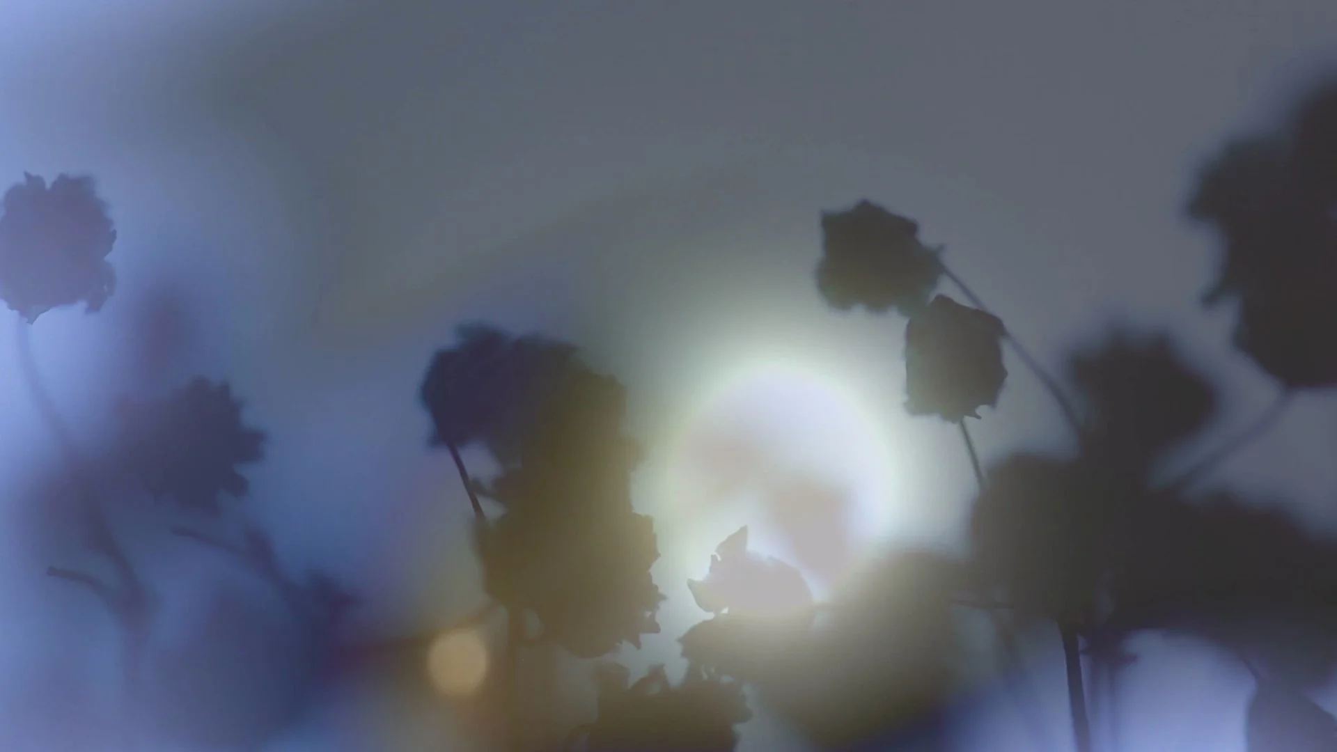 Still from video - 2024 - © Gabriela Hébert