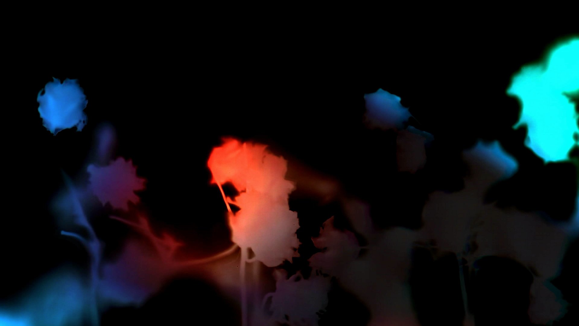 Still from video - 2024 - © Gabriela Hébert