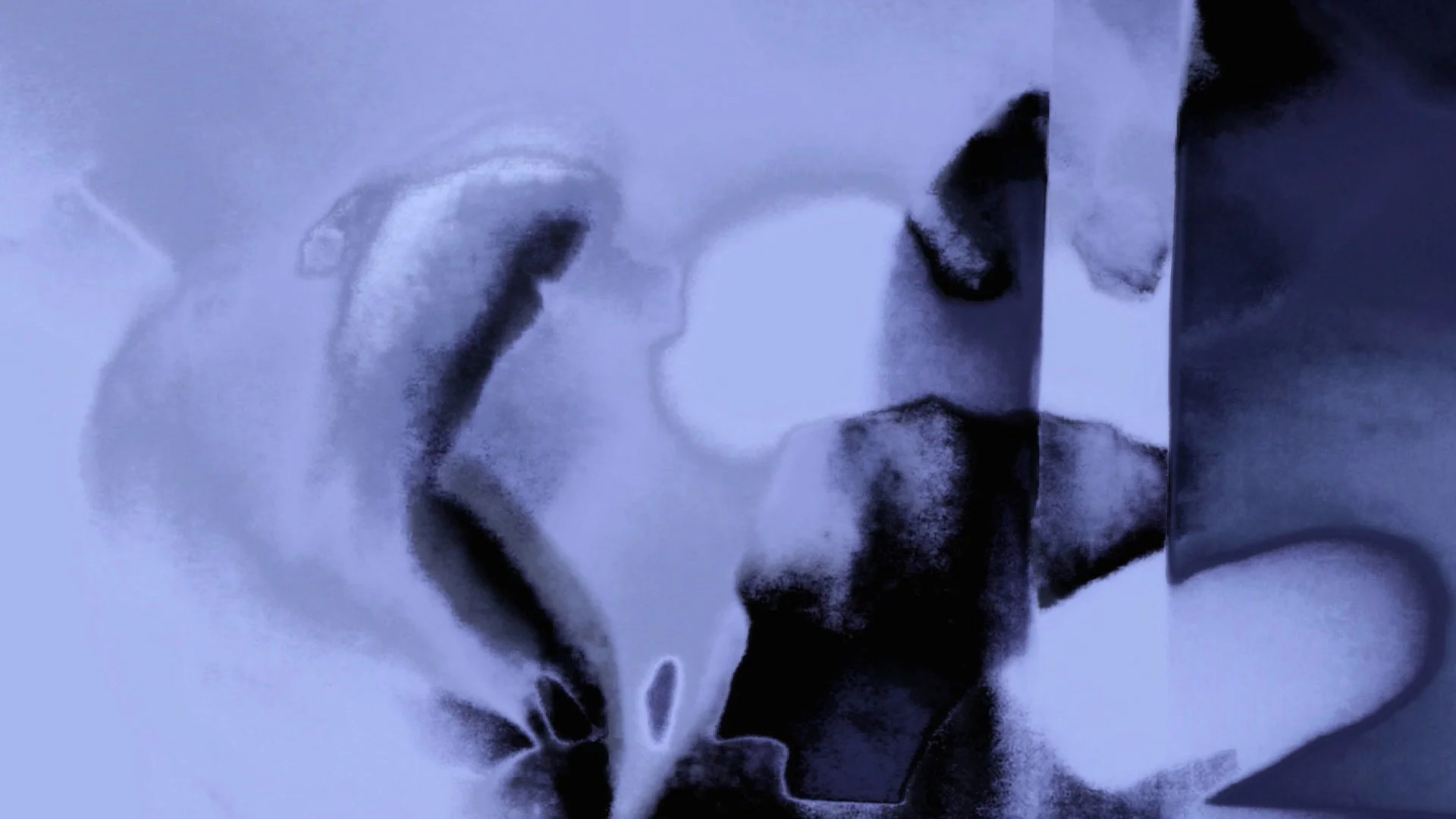 Still from video - 2024 - © Gabriela Hébert